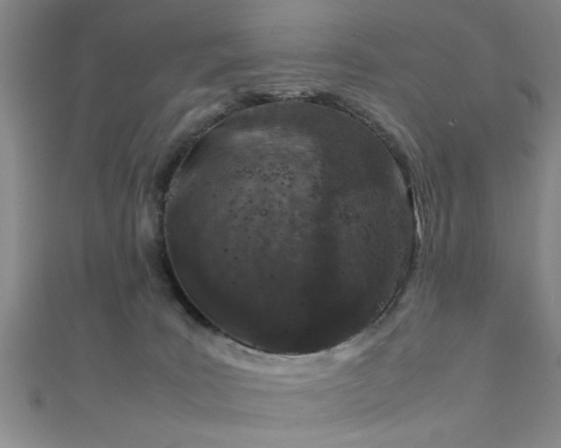 X0000111600035200907161602