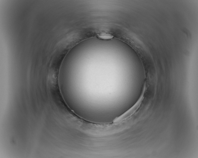 X0000111600037200907161602