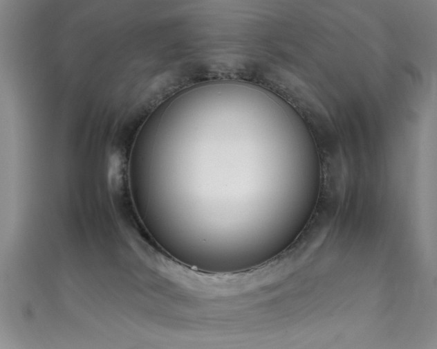 X0000111600038200907161602