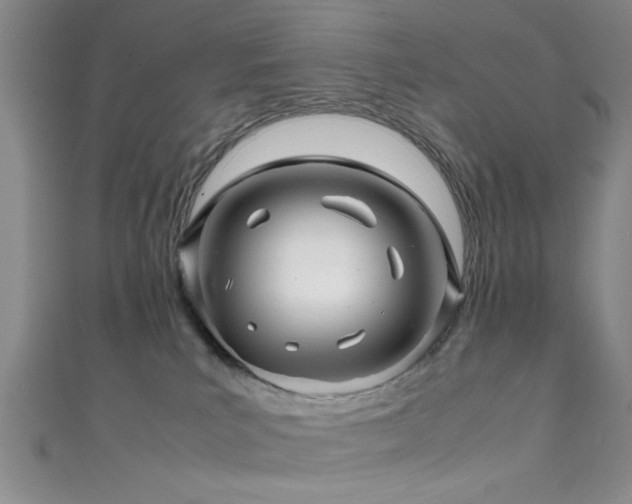 X0000111600039200907161602