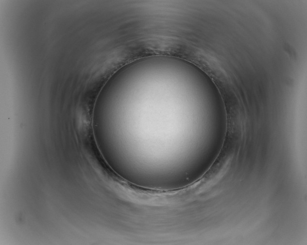 X0000111600040200907161602