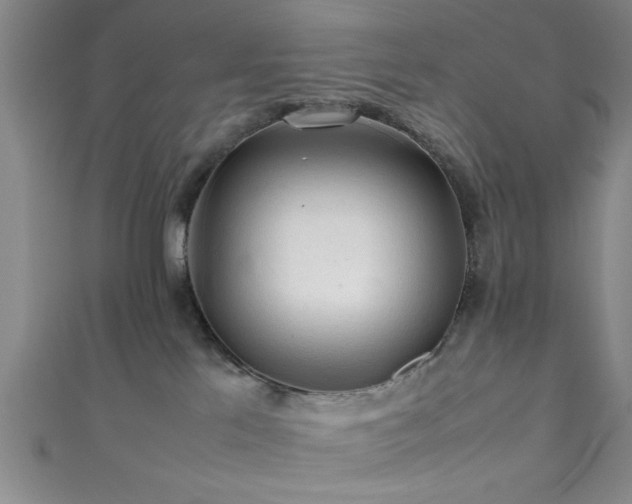 X0000111600041200907161602