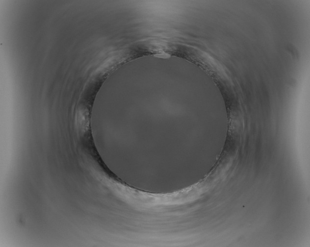 X0000111600043200907161602