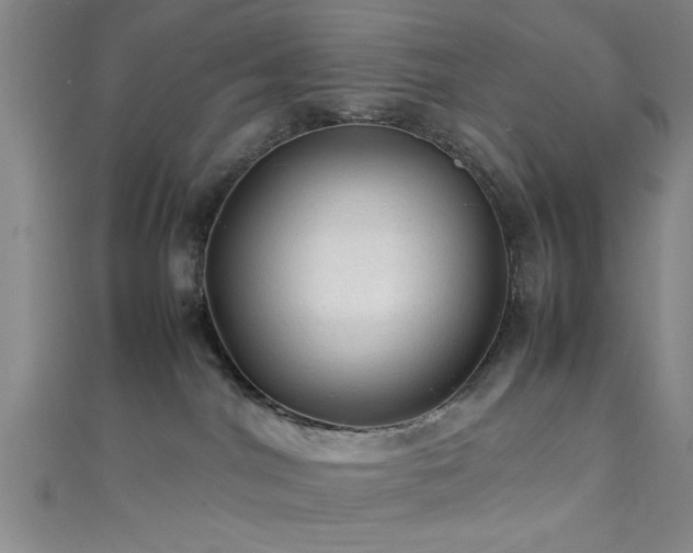X0000111600044200907161602