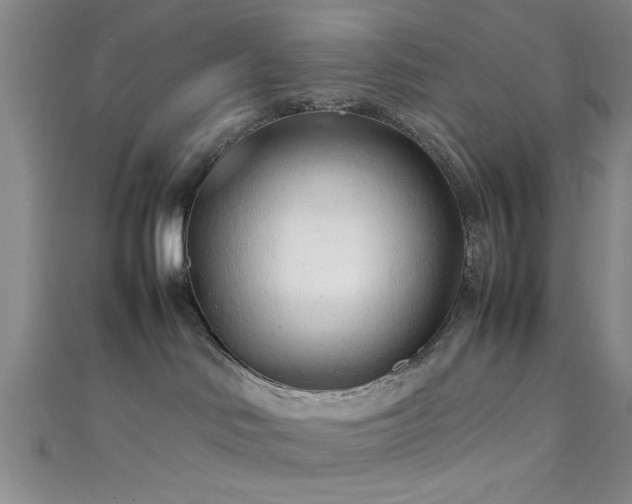X0000111600046200907161602