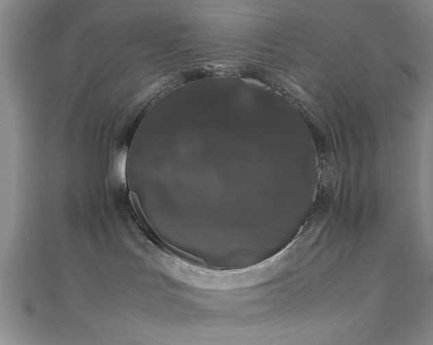 X0000111600047200907161602