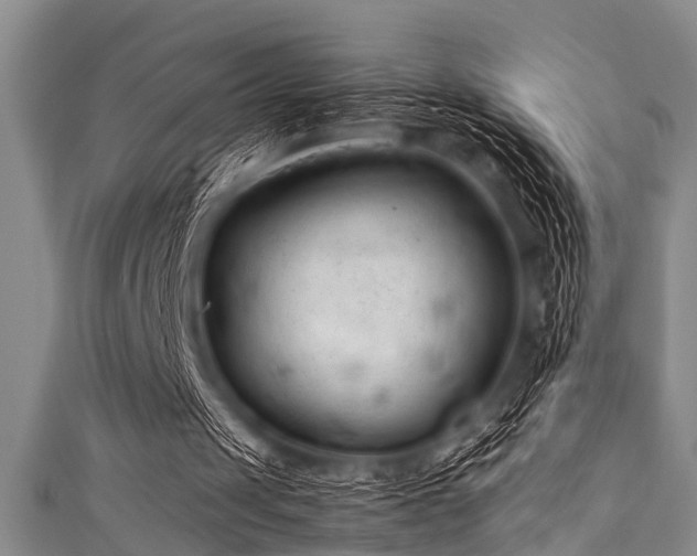 X0000111600049200907161601