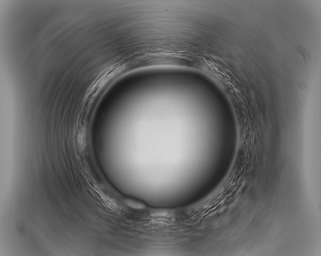 X0000111600050200907161601
