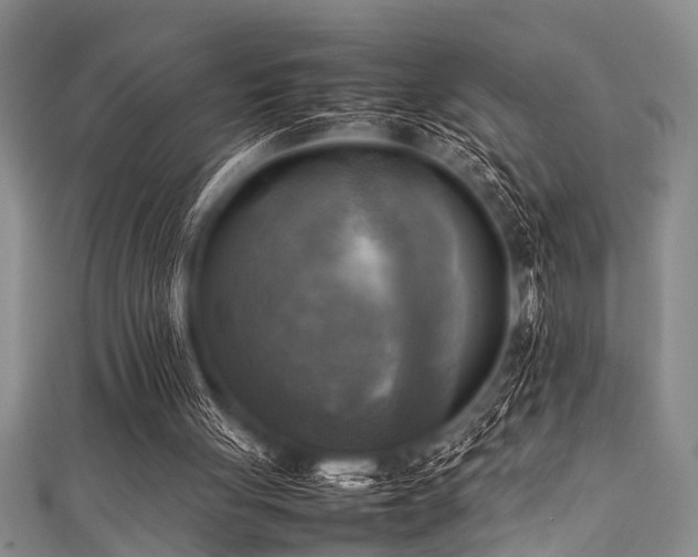 X0000111600051200907161601