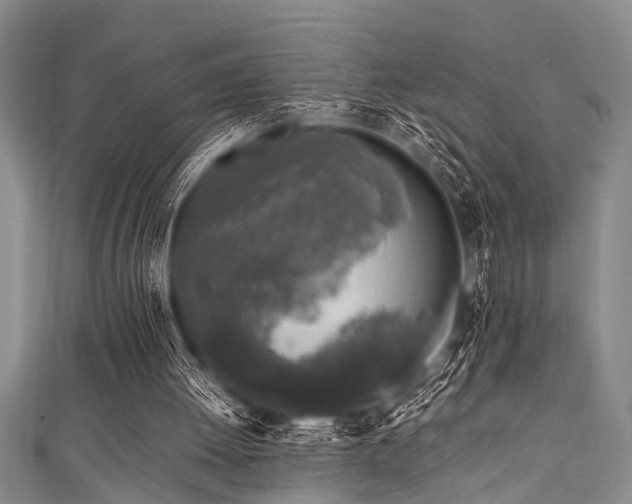 X0000111600052200907161601