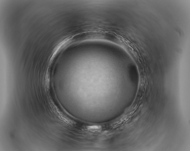 X0000111600053200907161601