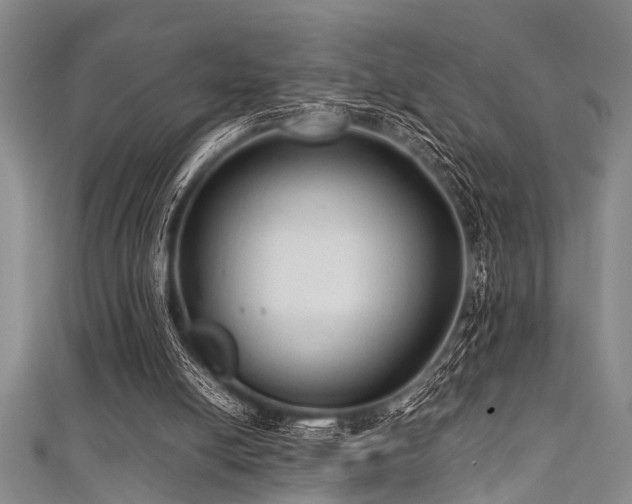 X0000111600054200907161601