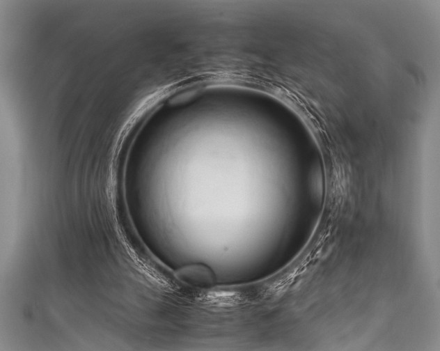 X0000111600055200907161601