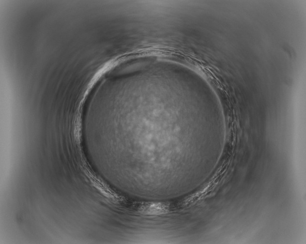 X0000111600056200907161601
