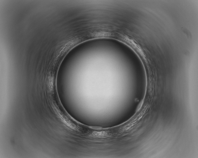X0000111600057200907161601