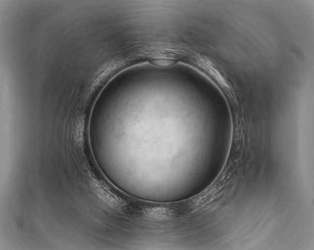 X0000111600058200907161601