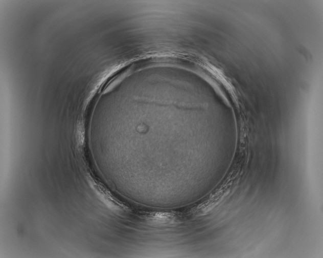 X0000111600060200907161601