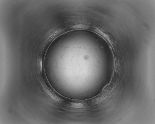 X0000111600061200907161601