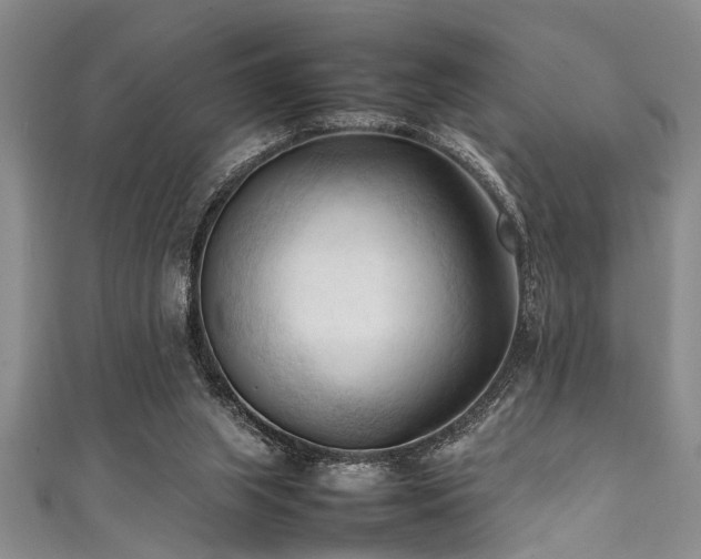 X0000111600063200907161601