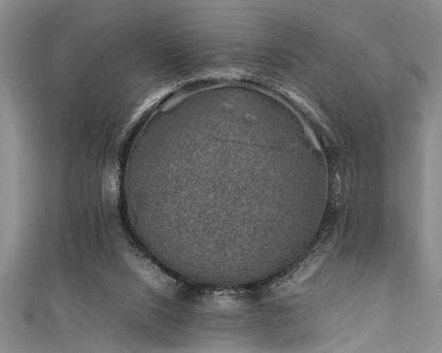 X0000111600064200907161601