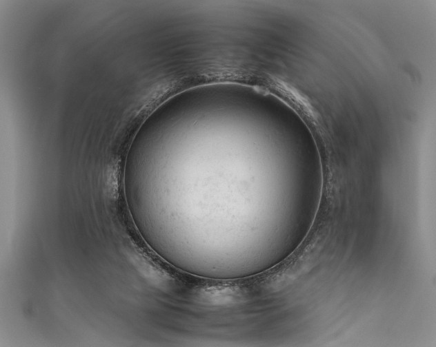 X0000111600065200907161601