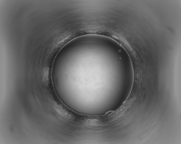 X0000111600066200907161601