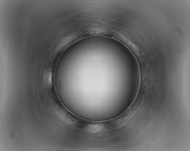 X0000111600067200907161601