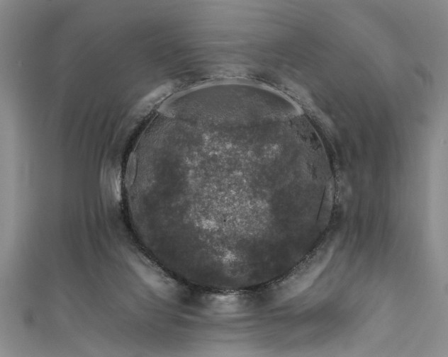 X0000111600068200907161601