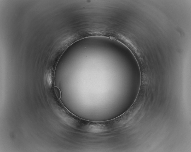 X0000111600069200907161601