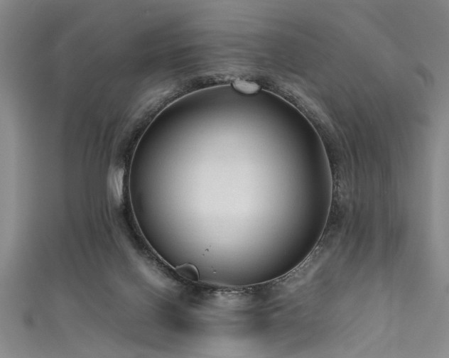 X0000111600070200907161601