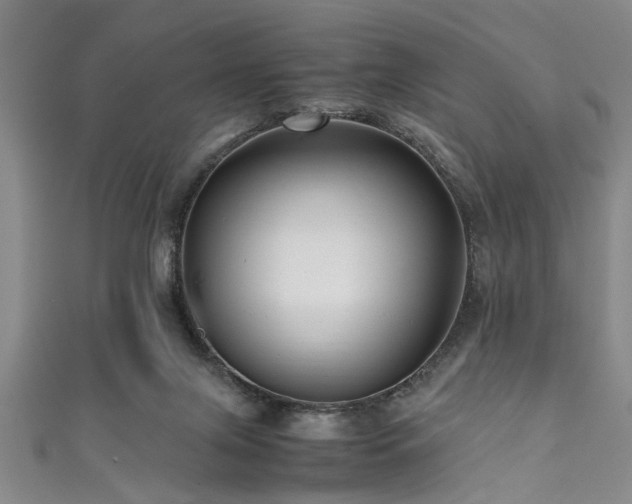 X0000111600071200907161601