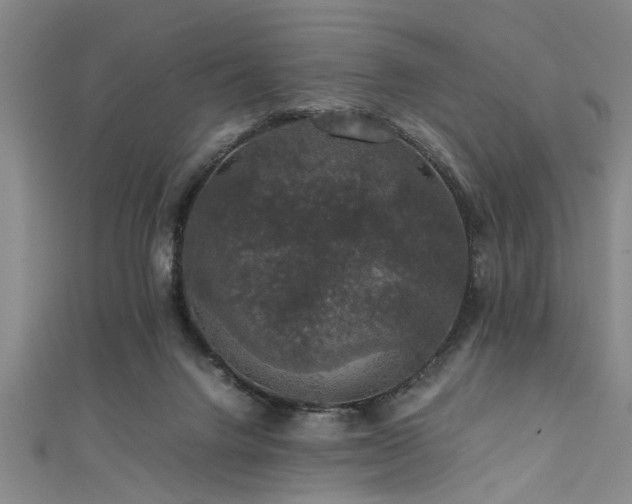 X0000111600072200907161601