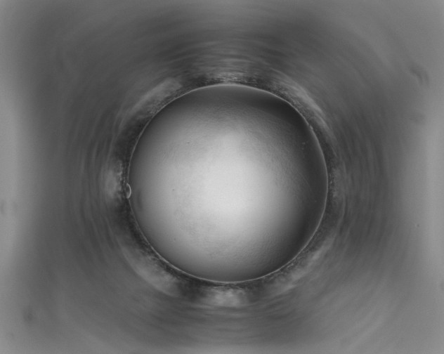 X0000111600073200907161601
