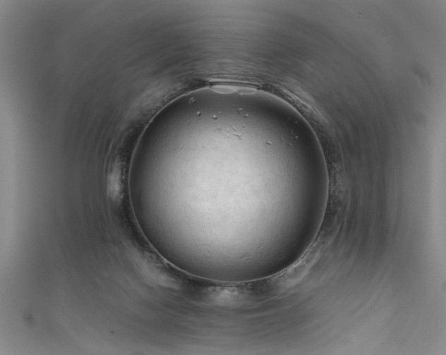X0000111600074200907161601
