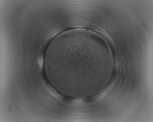 X0000111600076200907161601