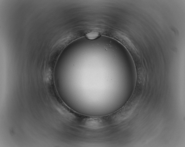 X0000111600077200907161601