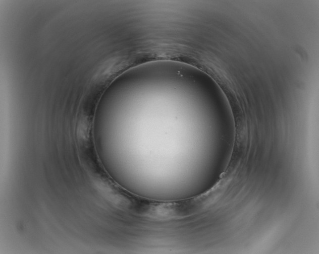 X0000111600078200907161601