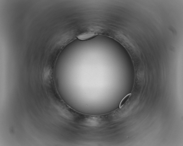 X0000111600079200907161601