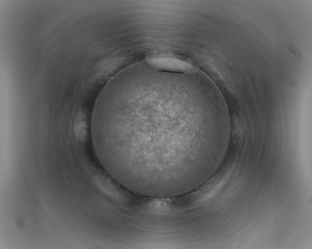 X0000111600080200907161601