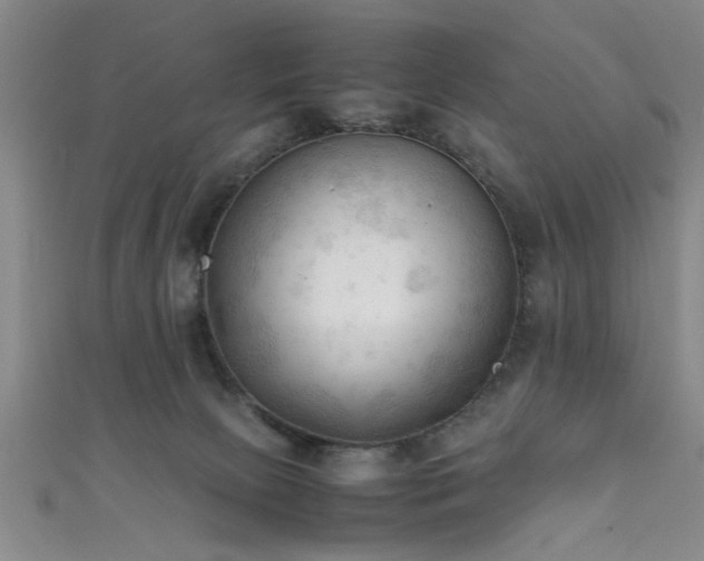 X0000111600081200907161601