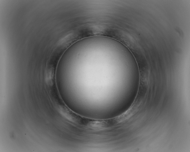 X0000111600082200907161601