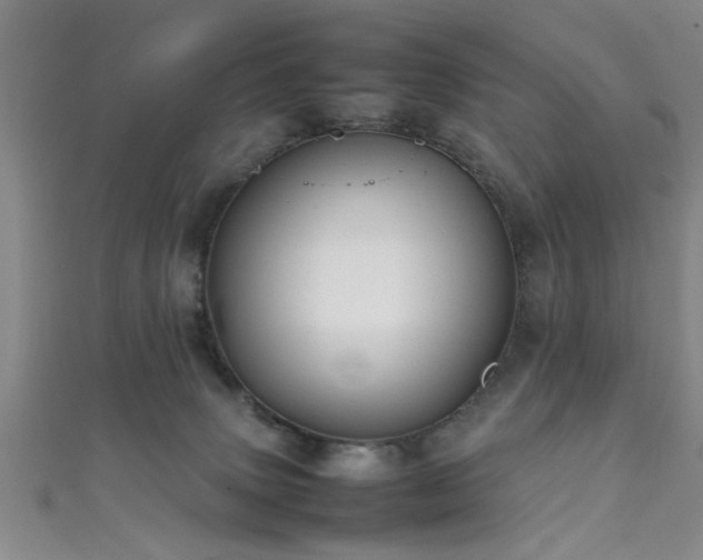 X0000111600083200907161601