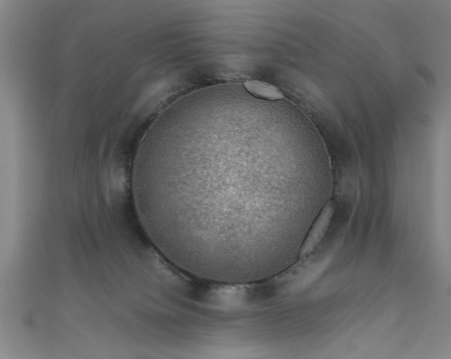 X0000111600084200907161602