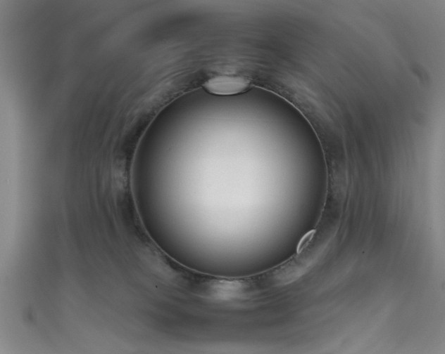X0000111600085200907161602