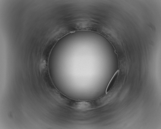 X0000111600087200907161602