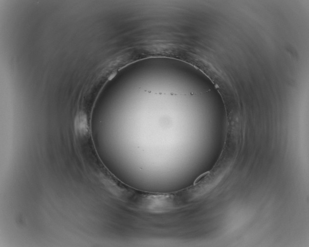 X0000111600089200907161602
