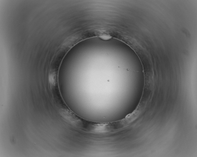 X0000111600090200907161602