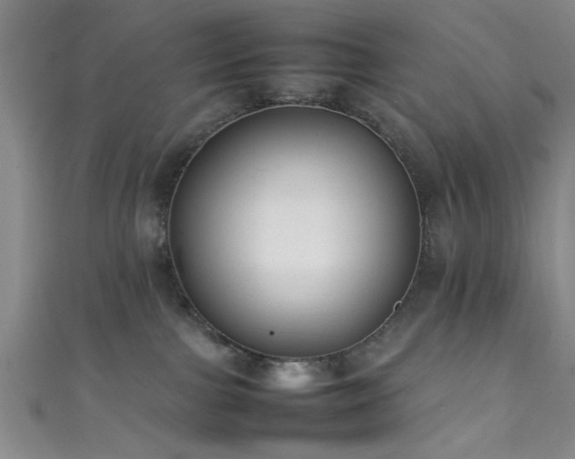 X0000111600091200907161602