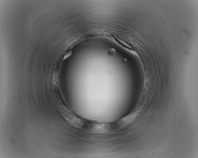 X0000111600096200907161602