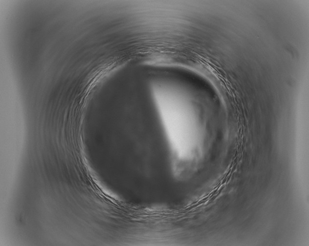 X0000111600097200907161601